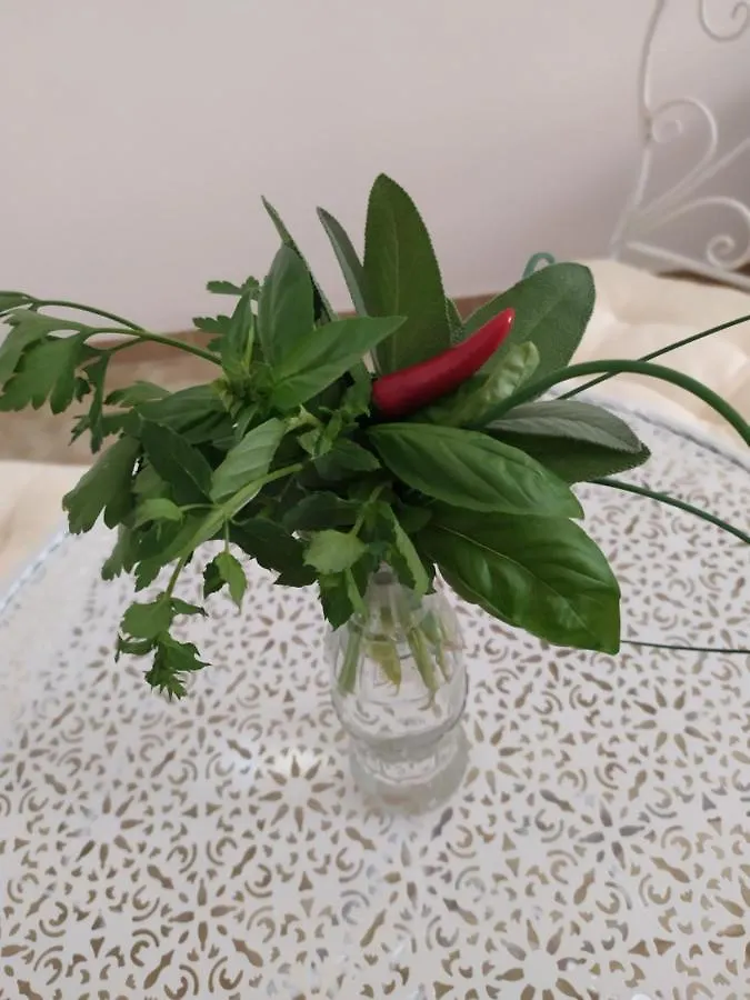 Casina Nel Salento Appartement Lecce
