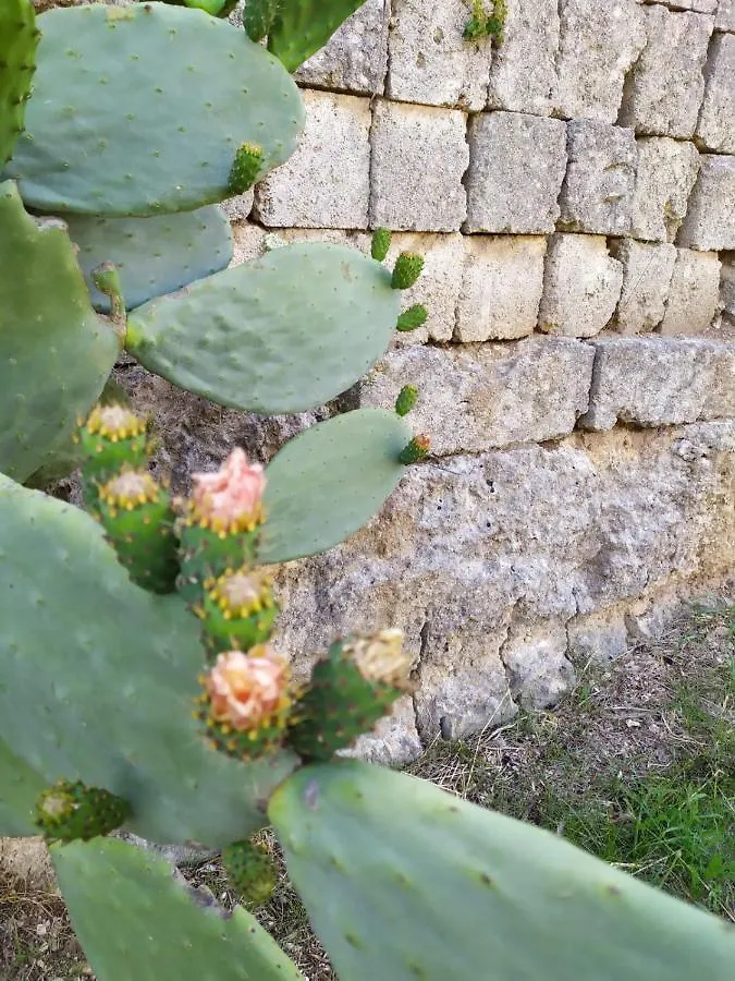 Casina Nel Salento Appartement Lecce Italië